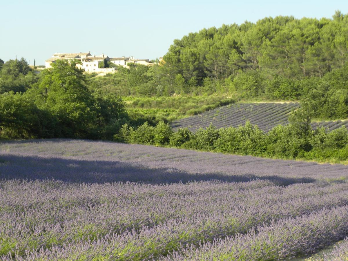 Les Vallons Holiday Home Lioux ภายนอก รูปภาพ